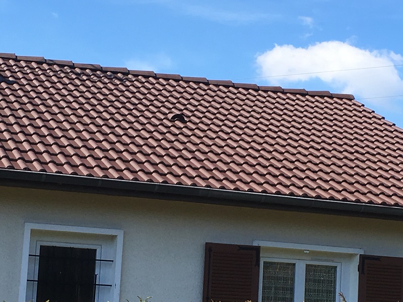 ODR EXPERT RENOVATION