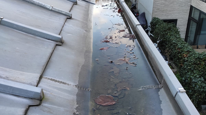 ODR EXPERT RENOVATION