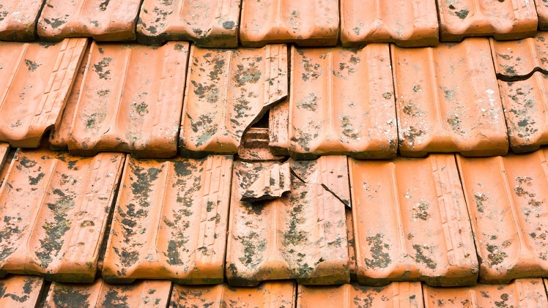 ODR EXPERT RENOVATION