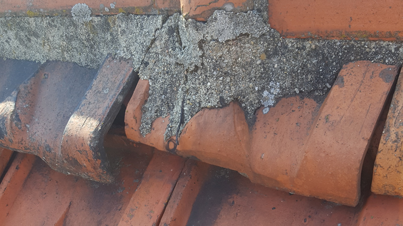 ODR EXPERT RENOVATION