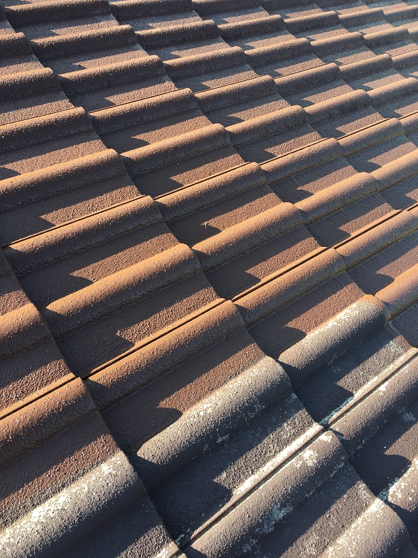 ODR EXPERT RENOVATION